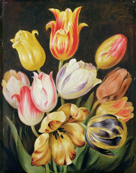 Flower Study from Joh. Friedrich August Tischbein
