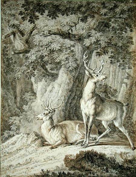 Two Stags from Johann Elias Ridinger or Riedinger