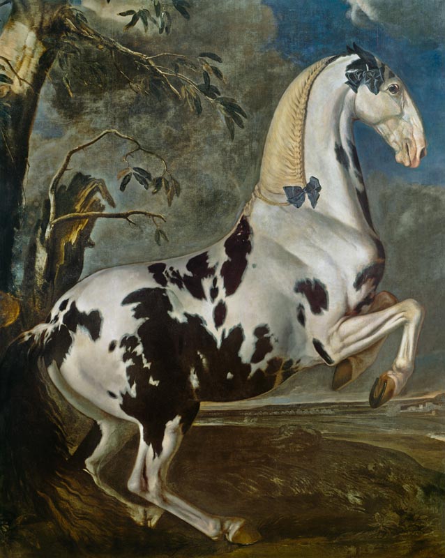 The Piebald Stallion at the Eisgruber Stud from Johann Georg Hamilton
