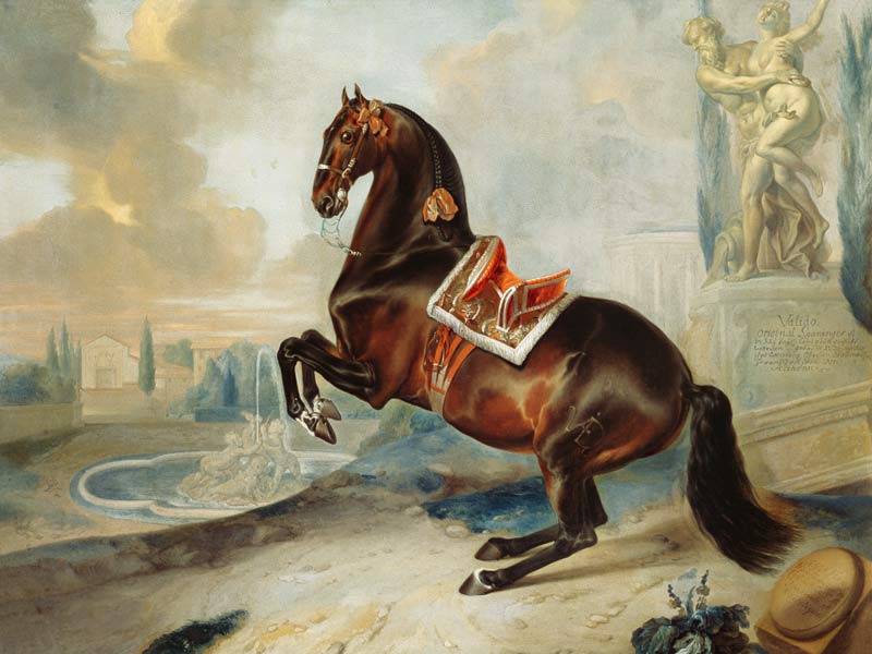 The dark bay horse 'Valido' performing a Levade movement from Johann Georg Hamilton