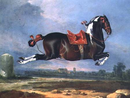 The piebald horse 'Cehero' rearing from Johann Georg Hamilton