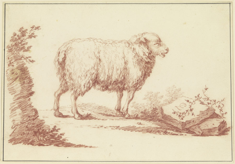 Ein Schaf nach rechts from Johann Ludwig von Pfeiff