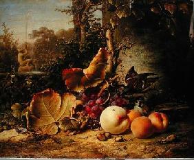 Fruit and Sparrows