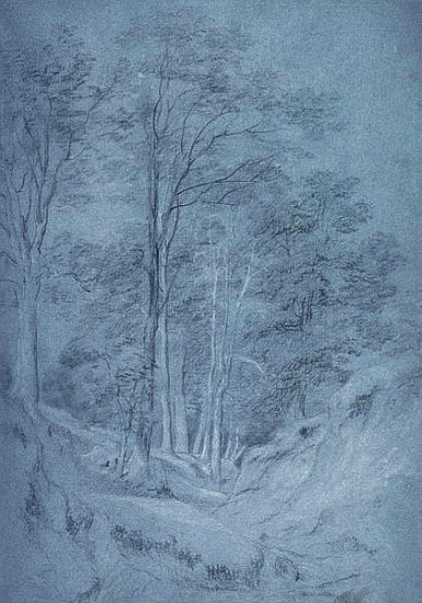 Study of ash and other trees (pencil on paper, heightened with white chalk) from John Constable