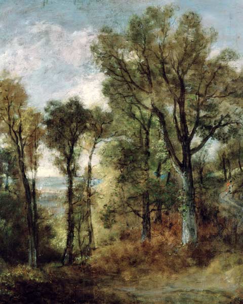 Woodland View in Suffolk from John Constable