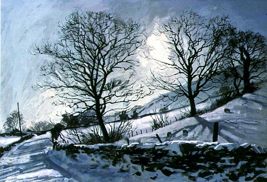 Winter Afternoon in Dentdale, 1991 from John  Cooke