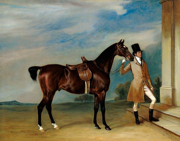 Miss Villebois' Bay Hunter held by a Groom