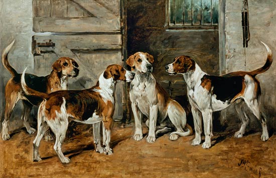 Study of Hounds from John Emms