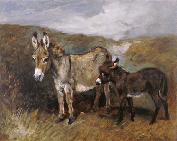 Donkeys out on the Moor from John Emms