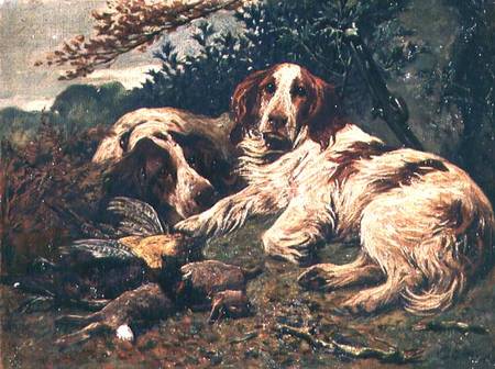 A Pair of Liver and White Clumber Spaniels by the Day's Bag from John Emms