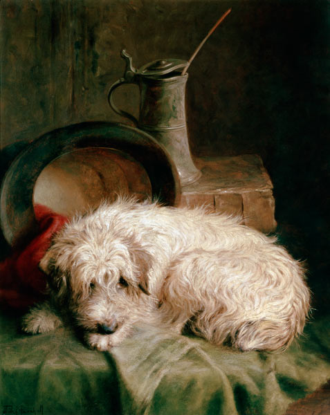 A Terrier from John Fitz Marshall