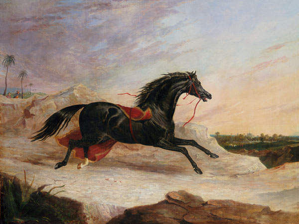 Arabs Chasing A Loose Arab Horse In An Eastern Landscape from John Frederick Herring d.Ä.