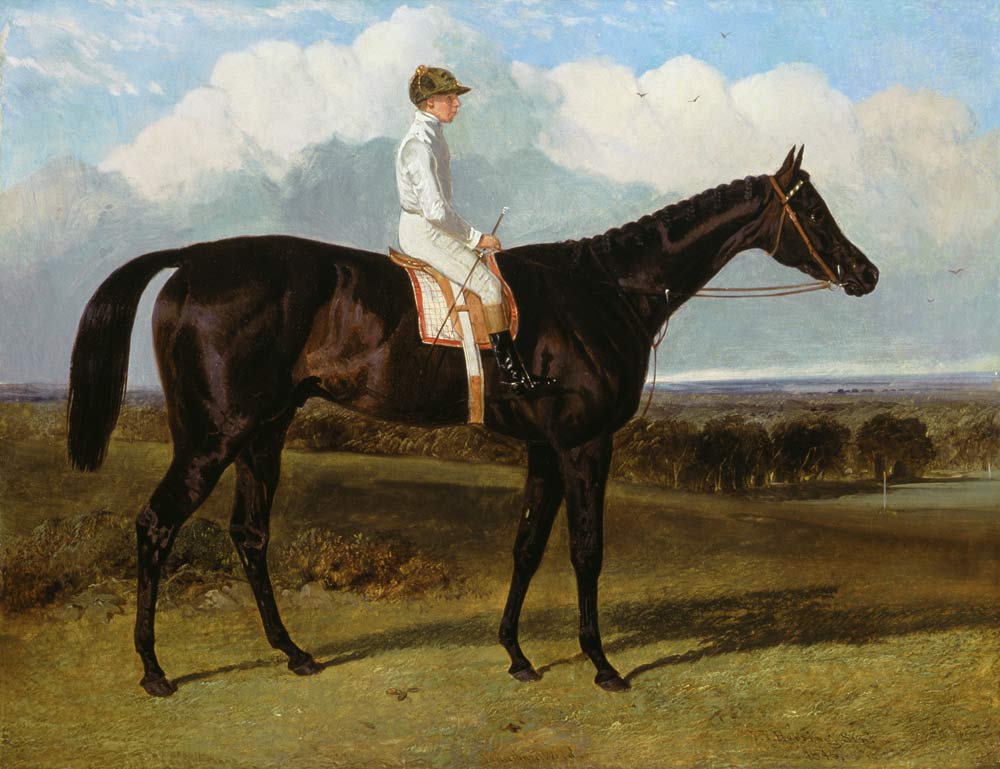 'Jonathan Wild' a Dark Bay Race Horse, at Goodwood, T.Ryder up from John Frederick Herring d.Ä.