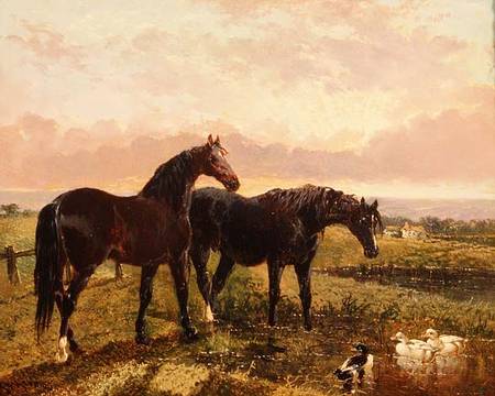 Two horses grazing at sunset from John Frederick Herring d.Ä.