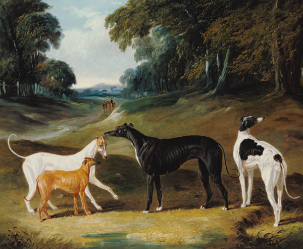 Greyhounds, 'Spot', 'Skylark', 'Nettle' and 'Sky' from John Frederick Herring d.Ä.