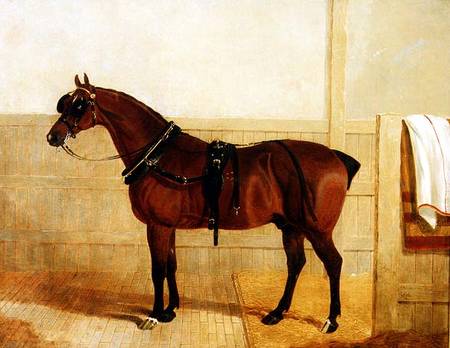Prize Shire Horse in Harness from John Frederick Herring d.Ä.