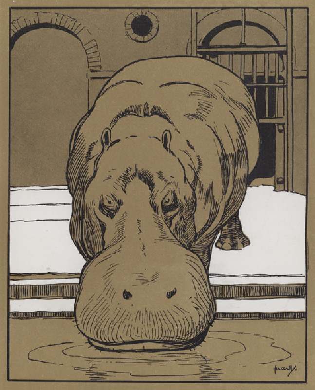 "I cannot bring myself to believe that this is a very witty animal" (colour litho) from John Hassall