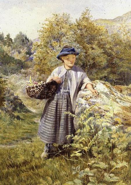 The Young Herbalist from John Isaac Richardson