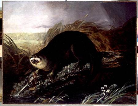 Otter Caught in a Trap from John James Audubon