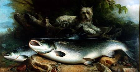 Guarding the Day's Catch; a Skye Terrier with a Cock and Hen Salmon from John Russell