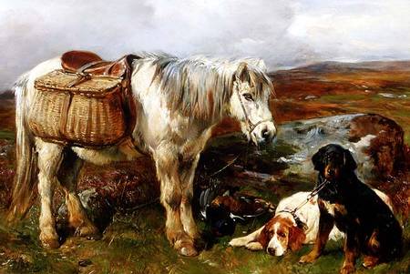 Highland Pony with Dogs from John Sargent Noble