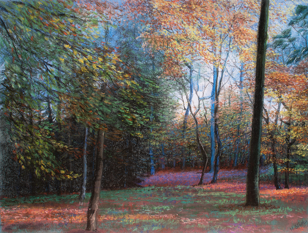 Autumn in the Woods from John Starkey