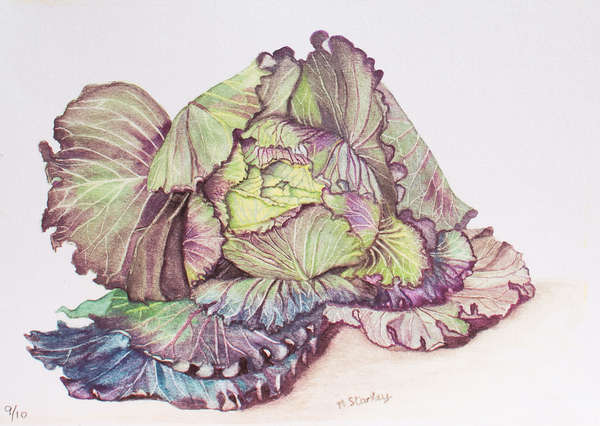 Cabbage from John Starkey