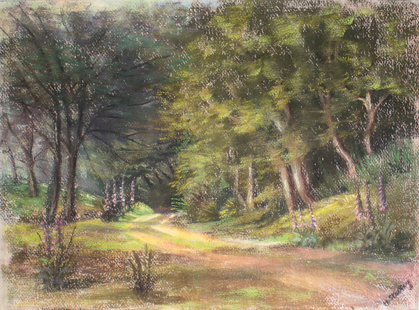 Walk in the Woods, Somerset from John Starkey