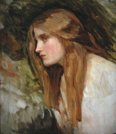 Study for 'Hylas and the Nymphs' from John William Waterhouse