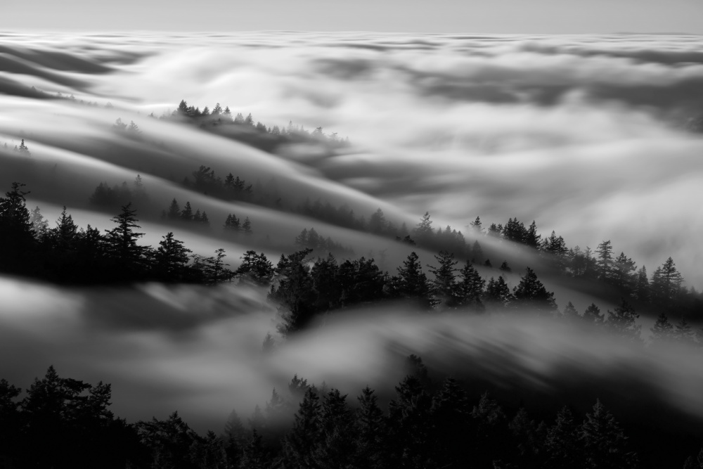 Baden im Nebel from Johnny Zhang
