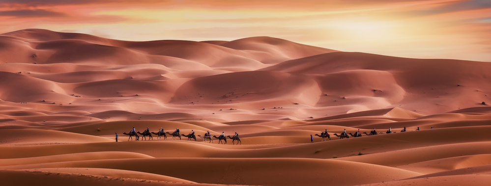 Spazieren Sie durch die Wüste from Jorge Ruiz Dueso