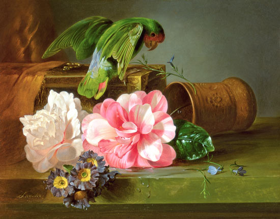 Still Life with Parrot from Josef Schuster