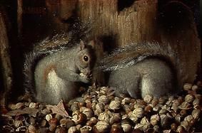 Eichhörnchen mit ihrem Wintervorrat. from Joseph Decker