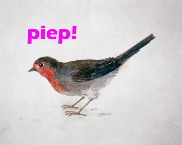 Robin, from The Farnley Book of Birds  - "piep!"