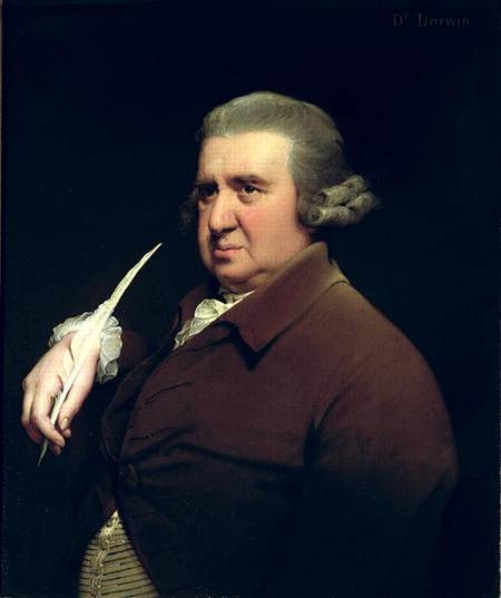 Portrait of Dr Erasmus Darwin (1731-1802) scientist, inventor and poet, grandfather of Charles Darwi from Joseph Wright of Derby