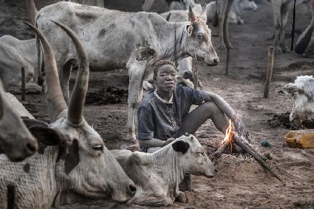 Eine Szene eines Mundari-Rinderlagers II – Südsudan