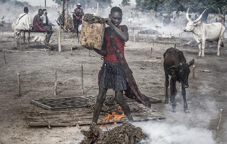 Eine Szene in einem Mundari-Rinderlager – Südsudan