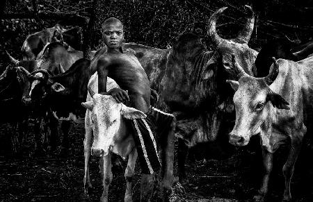 Junge vom Surma-Stamm,der sich um das Vieh kümmert.