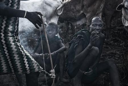 Menschen des Surma-Stammes kümmern sich um ihre Kuhherde - Äthiopien