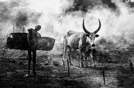 Mundari-Kind trägt Mist – Südsudan