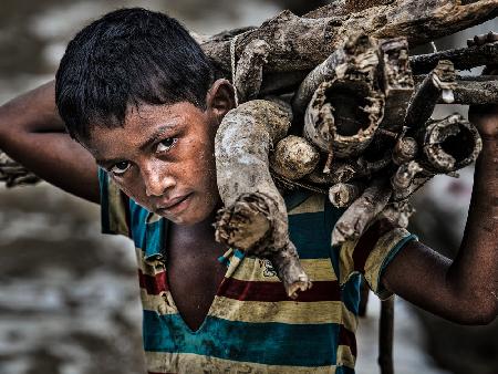 Rohingya-Flüchtlingsjunge trägt Feuerholz.