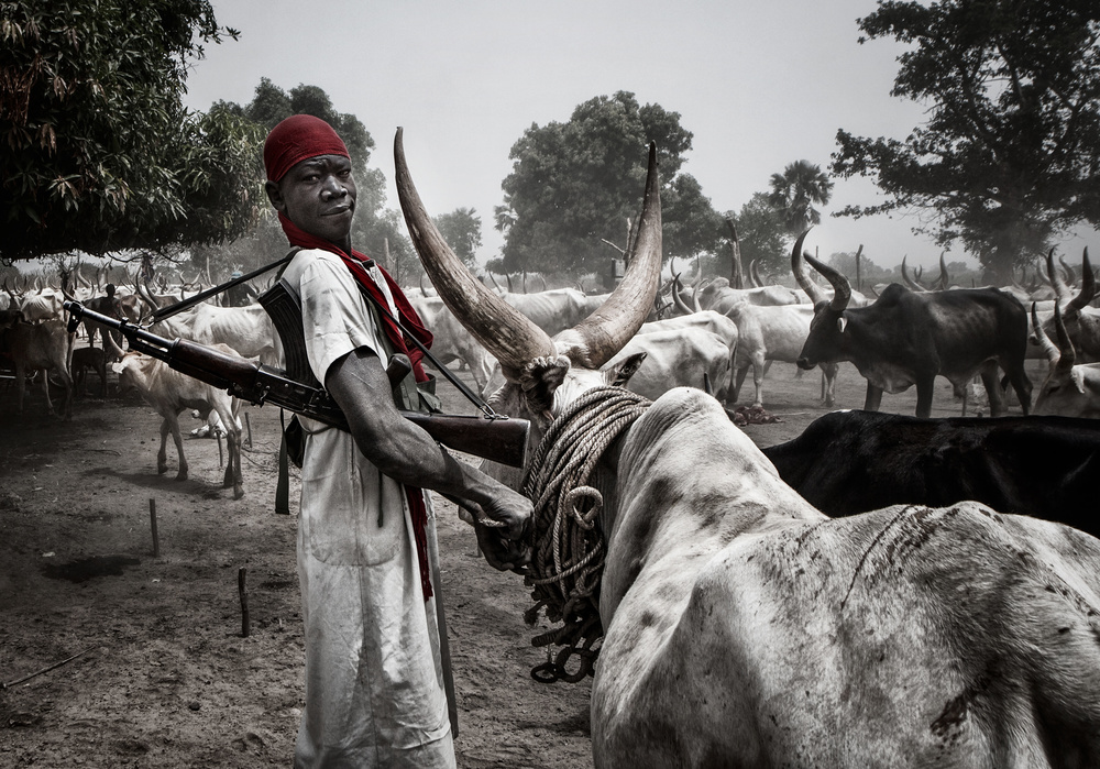 Schutz der Tiere in einem Mundari-Rinderlager – Südsudan from Joxe Inazio Kuesta Garmendia