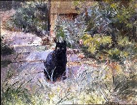Fat Mog in the Garden (oil on canvas) 