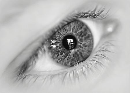 Das Auge – Fenster zur Welt