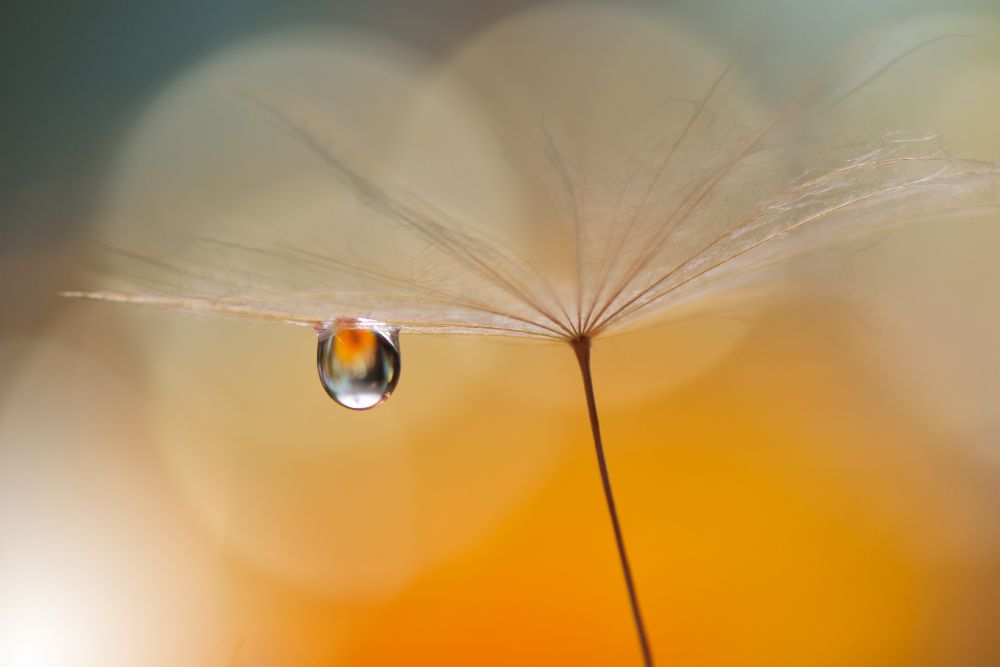 Little Night Music... from Juliana Nan