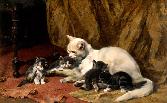 Katze mit vier Jungen auf einem alten Teppich. from Julius Adam