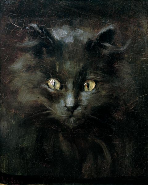 Portrait of a cat from Julius Adam