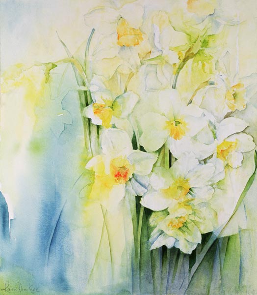 Narcissi and freesia  from Karen  Armitage