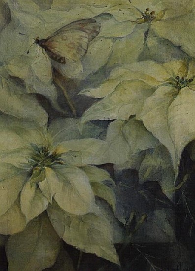 White Poinsettia with a butterfly (vertical)  from Karen  Armitage