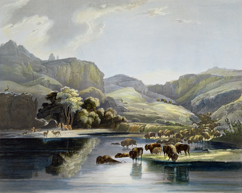 Herds of Bison and Elk on the Upper Missouri, plate 47 from Volume 2 of 'Travels in the Interior of from Karl Bodmer